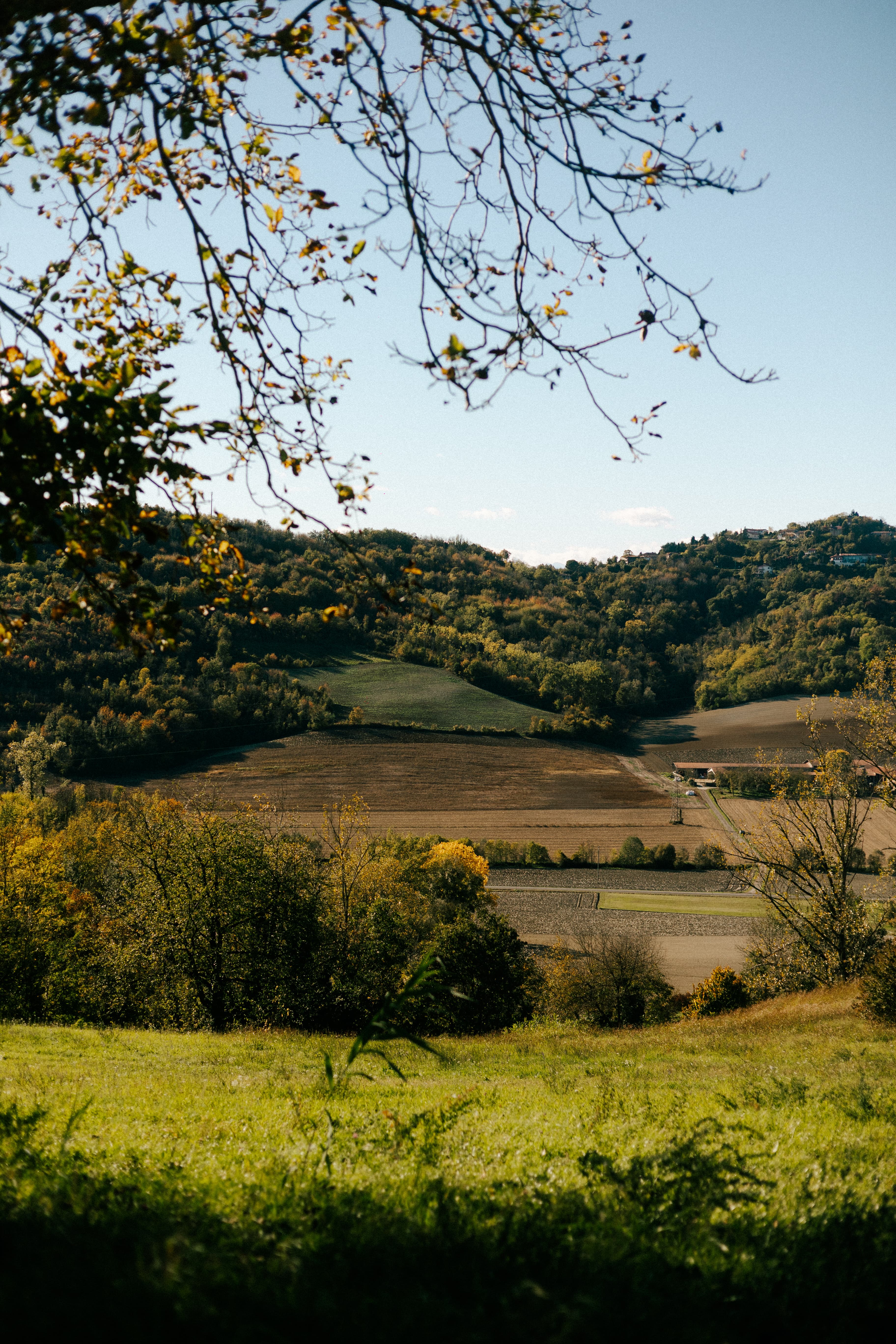 Sessione di mindfulness tra le colline del Monferrato