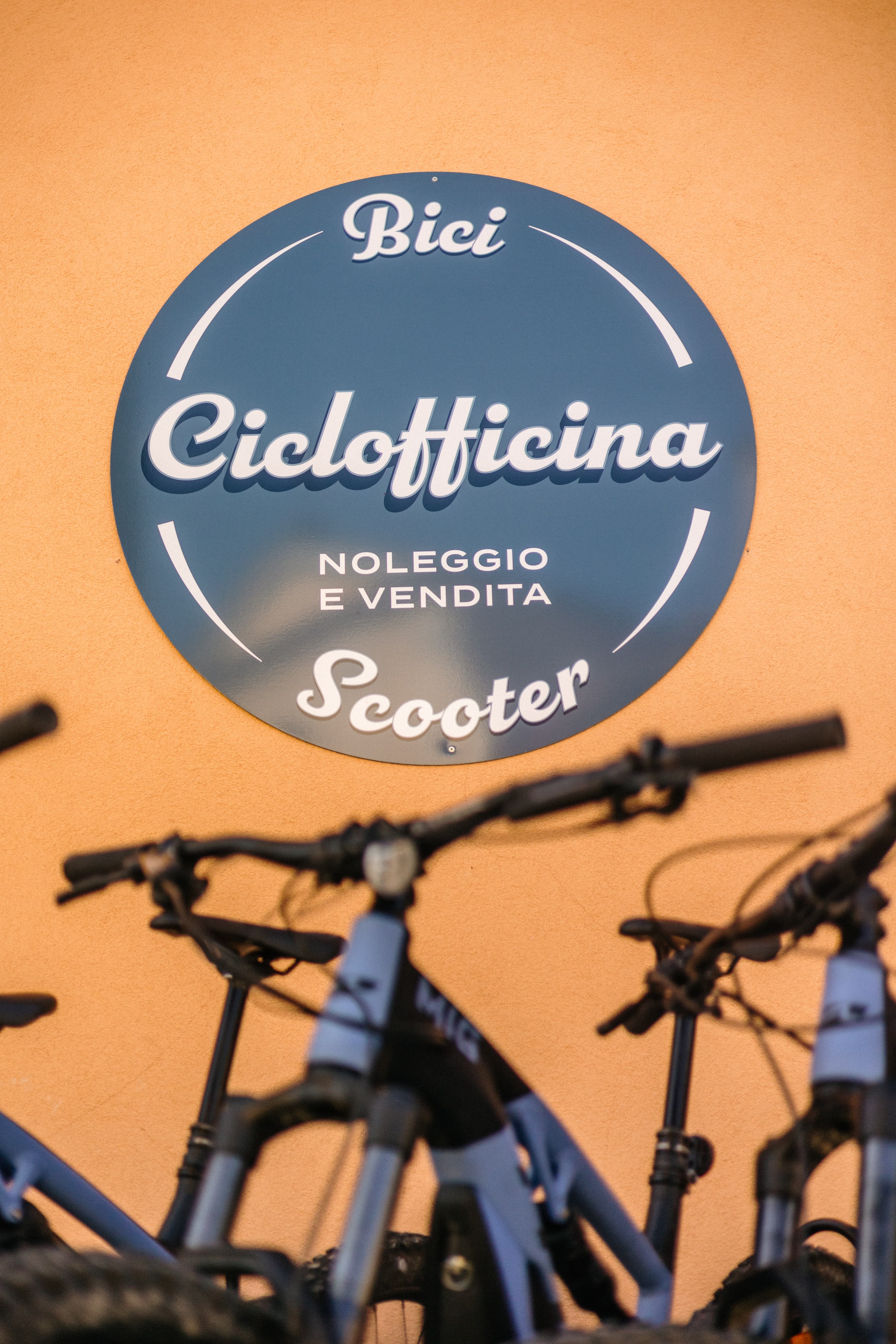 Tour in e-bike tra vigneti e crinali del Monferrato